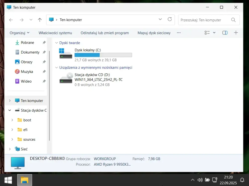 Win11-LTSC-TC-Mystic-Jungle-2